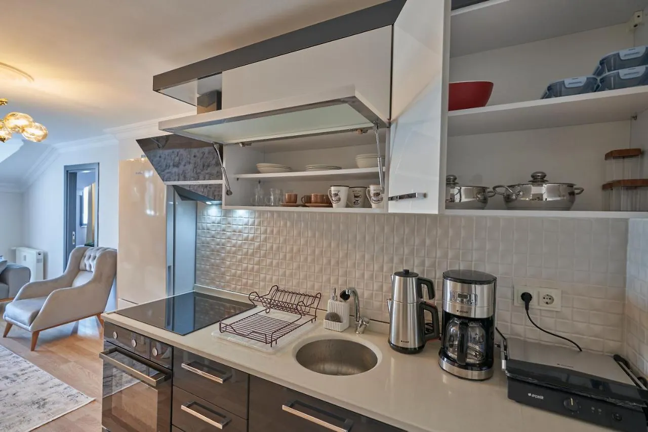 Fully Equiped Apartment In Istanbul Avcilar - Zarif-60
