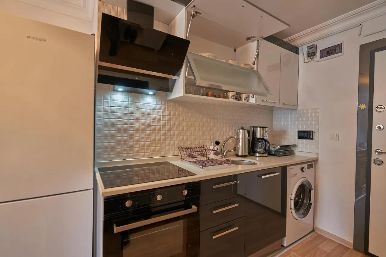 Fully Equiped Apartment In Istanbul Avcilar - Zarif-60
