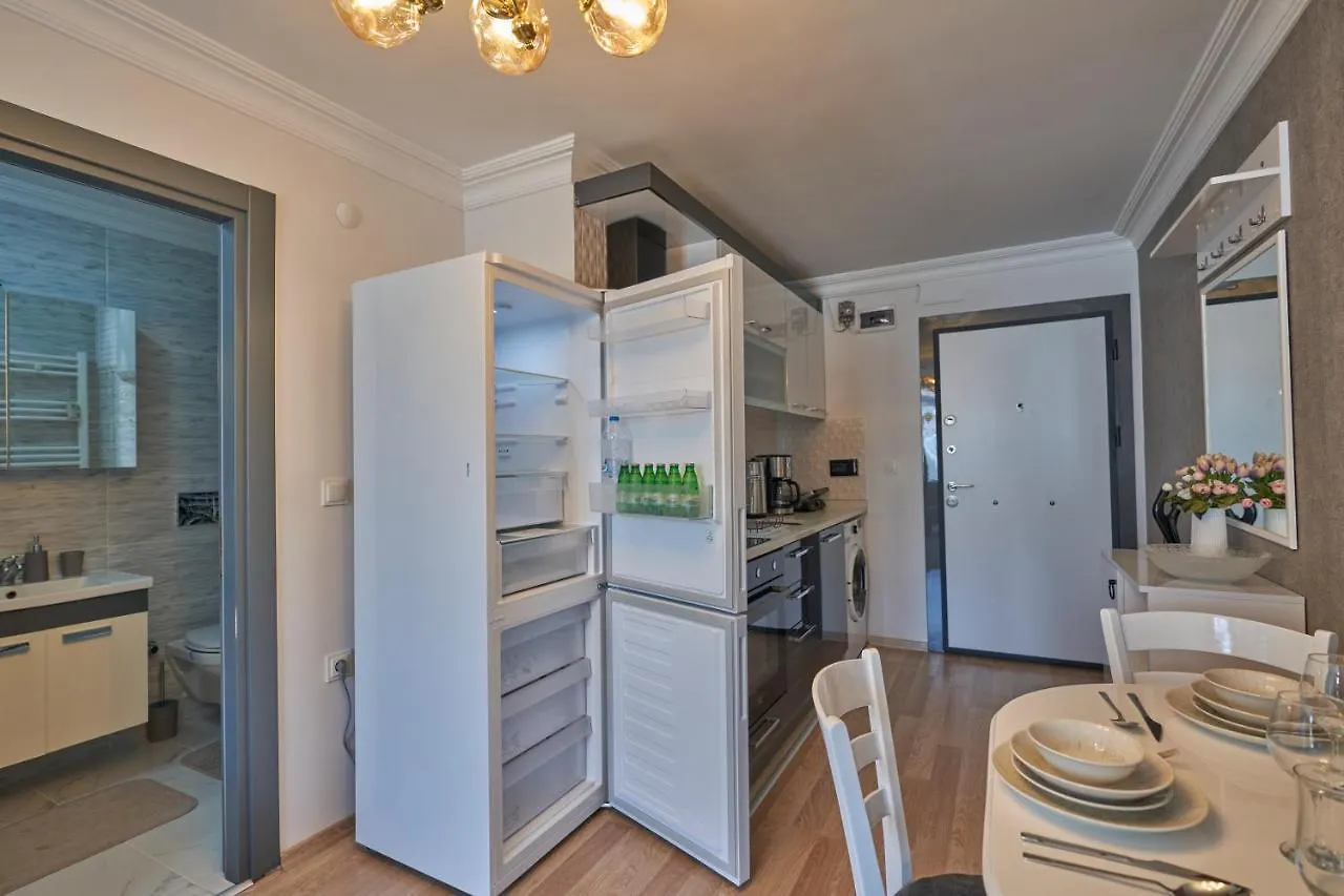 Fully Equiped Apartment In Istanbul Avcilar - Zarif-60 0*,